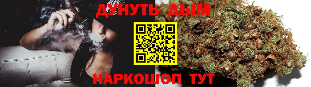 Марихуана планчик  Конопля планчик  Сорочинск  Вход с VPN  Конопля VHQ  Бошки марихуана план 
